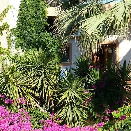 Maison d'hôtes Aretoussa 3*