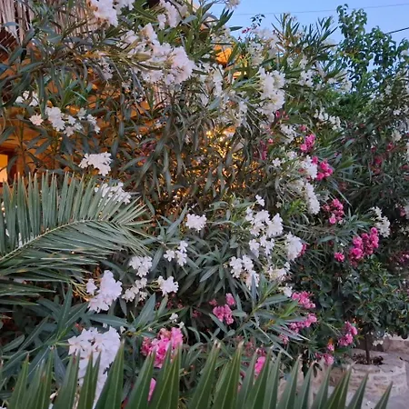 Guest house Aretoussa